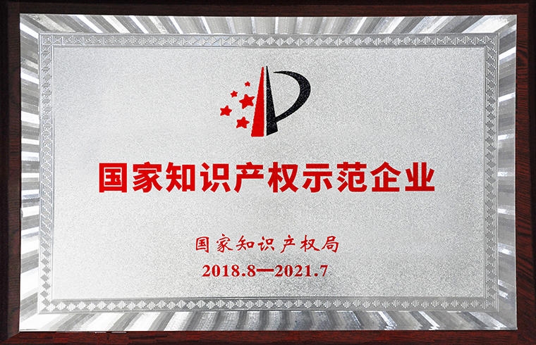 國(guó)家知識(shí)產(chǎn)權(quán)示范企業(yè)